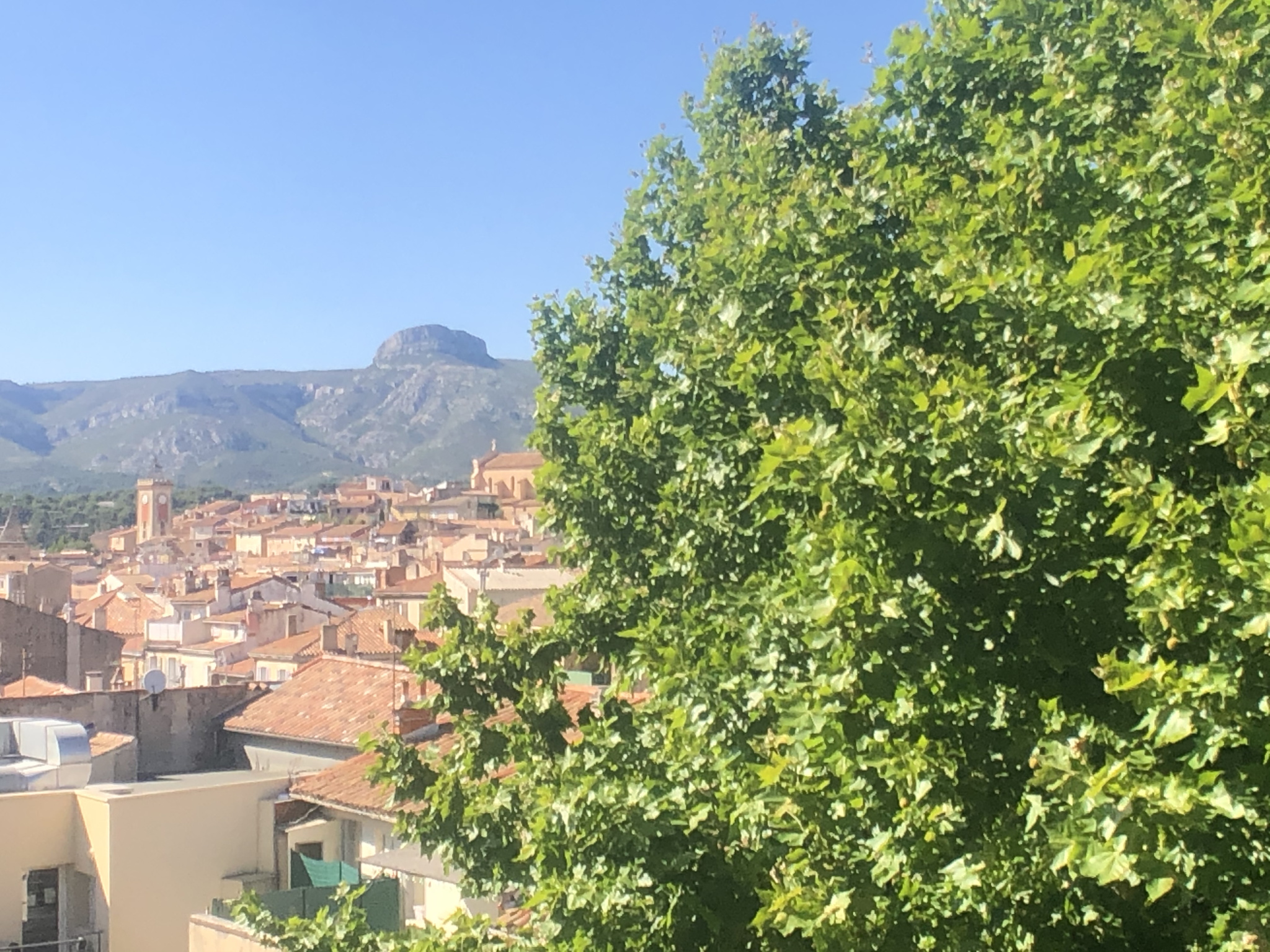 Agence immobilière de Agence Bresson